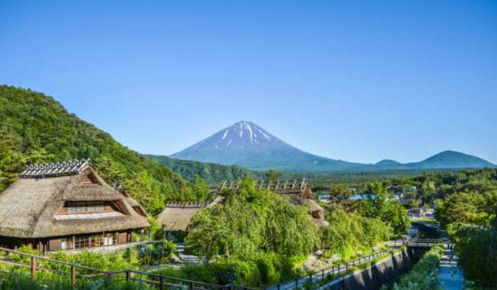 太金國際旅行社的旅遊行程介紹圖片